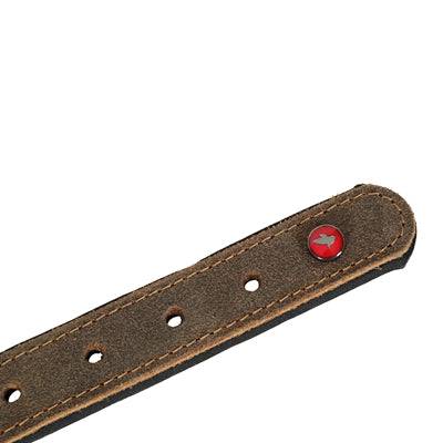 Zolux Expert Premium leather and neoprene dog collar in brown with metal buckle, 40x1.6 cm, for medium-sized dogs.