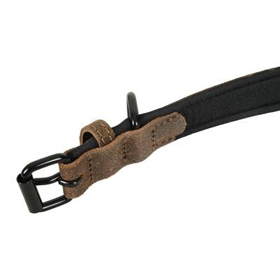 Zolux Expert Premium leather and neoprene dog collar in brown with metal hardware, 40x1.6 cm, for medium to large dogs.