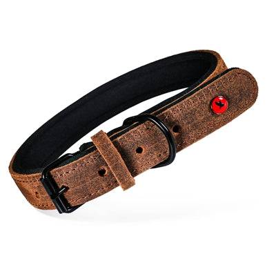 Zolux Expert Premium leather and neoprene dog collar in brown, 40x1.6 cm, with matching leash, durable and comfortable for dogs.